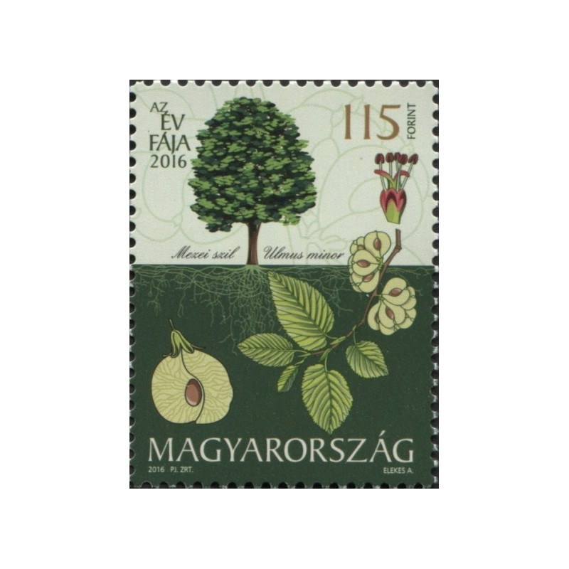 Hungary stamps (2016) for sale. Tree of the Year (Field Elm)
