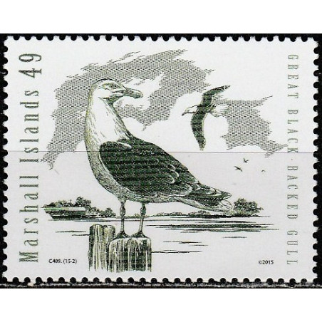 Maršalo salos 2015. Vandens paukščiai (Balnotasis kiras)