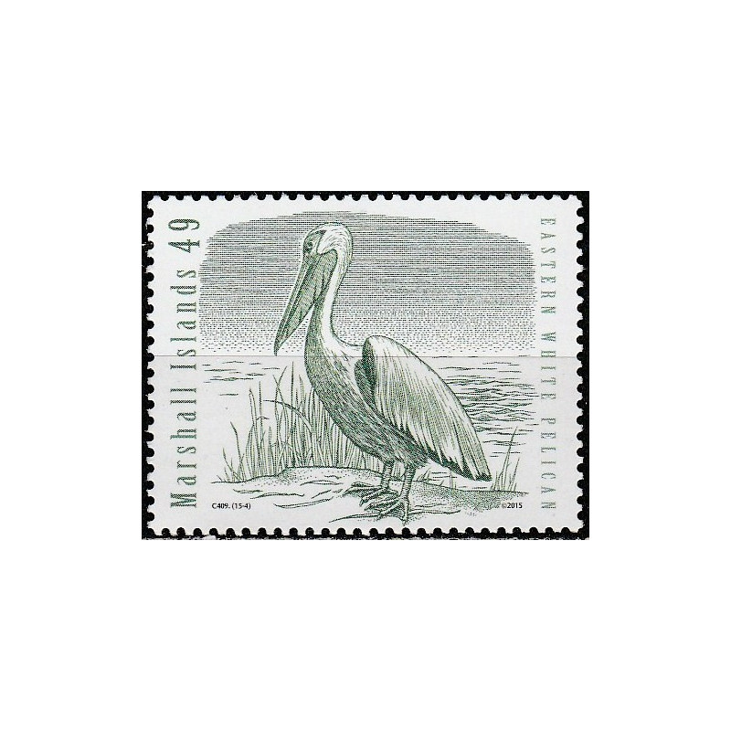 Maršalo salos 2015. Vandens paukščiai (Rožinis pelikanas)
