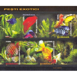 Rumunijos pašto ženklai (2005). Egzotiškos žuvys
