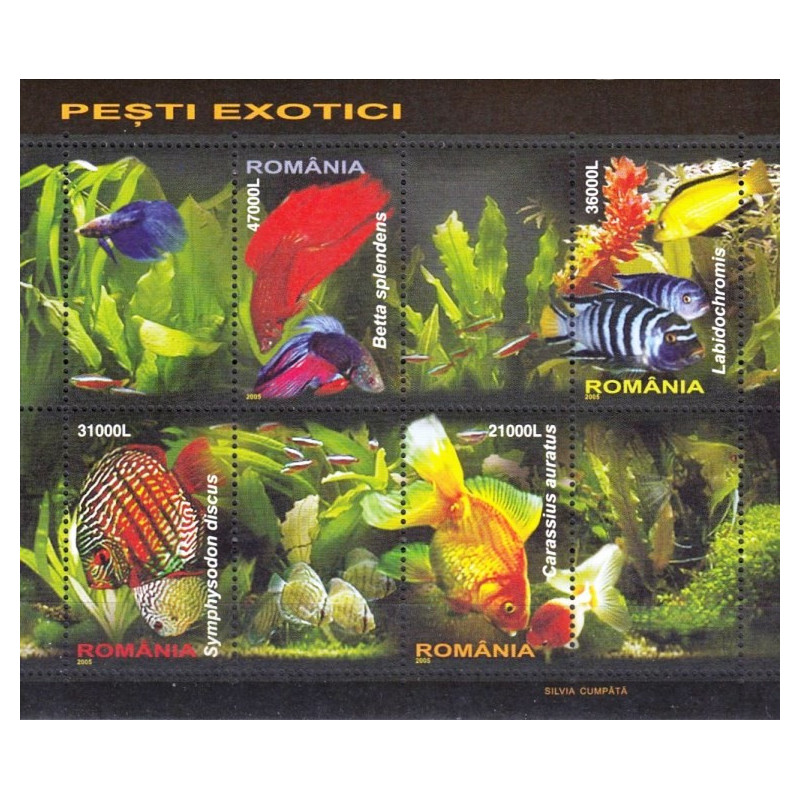 Rumunijos pašto ženklai (2005). Egzotiškos žuvys