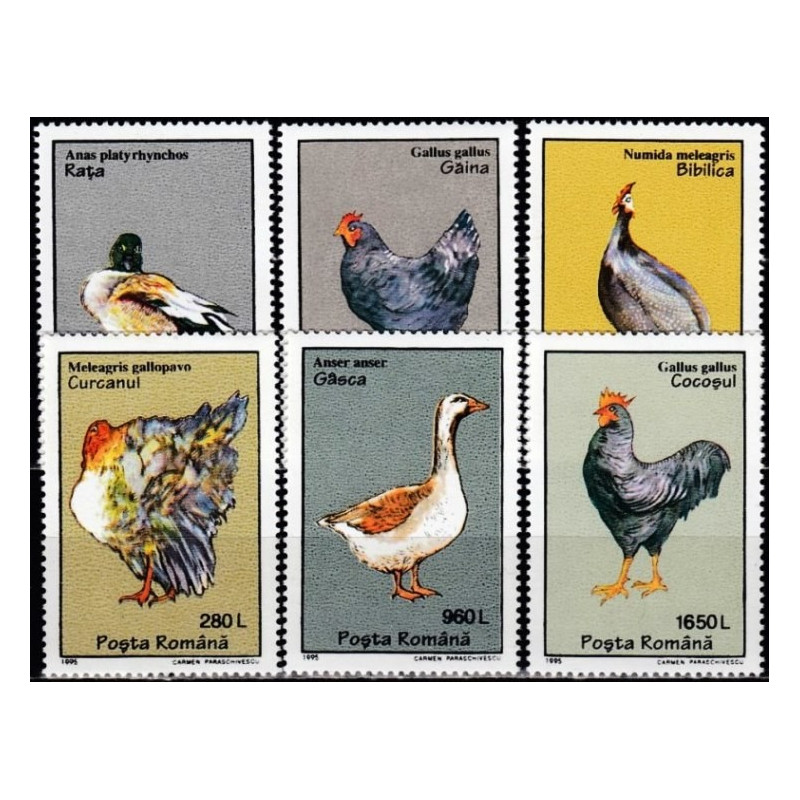 Rumunijos pašto ženklai (1995). Naminiai paukščiai