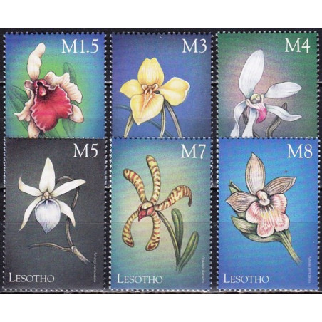 Lesotho 1999. Orchids