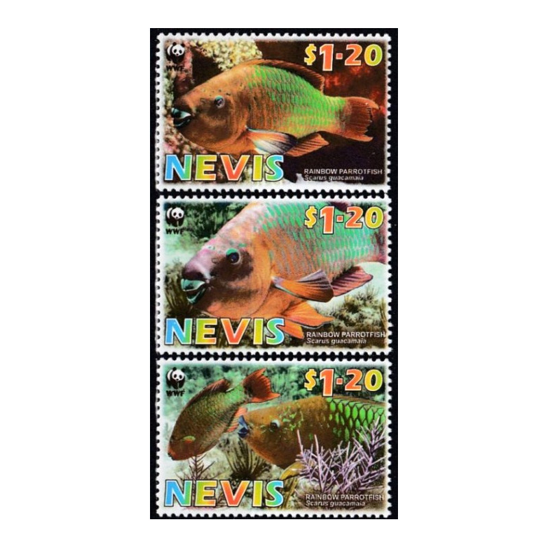 Nevis 2007. Fish