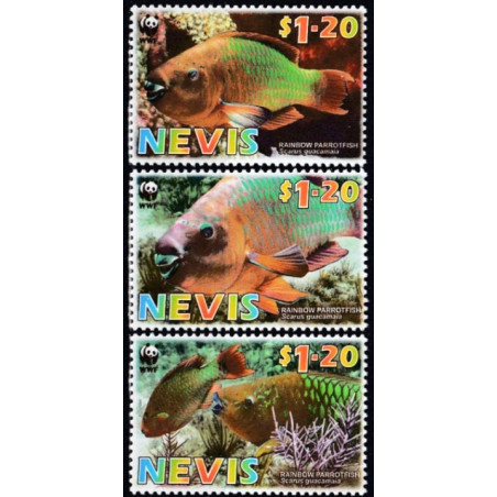 Nevis 2007. Fish