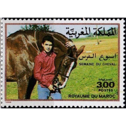 Morocco stamps (1988) for sale. Week of the Horse