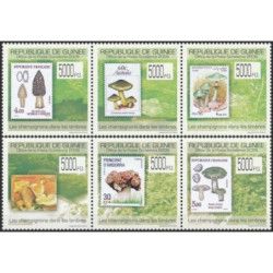 Guinea stamps (2009) for sale. Stamps on stamps (mushrooms)