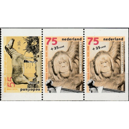 Nyderlandų pašto ženklai (1988). Amsterdamo zoologijos sodas